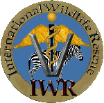 International Wildlife Rescue