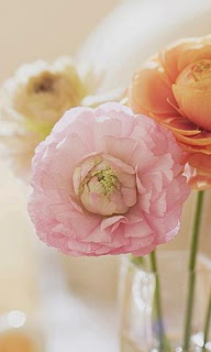 صورة لزهور متفتحة في خلفية رومنسية لجوال سامسونج