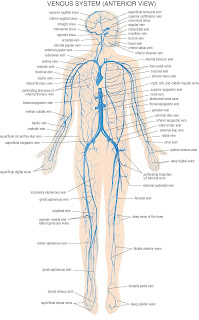 Biology 156: April 2012