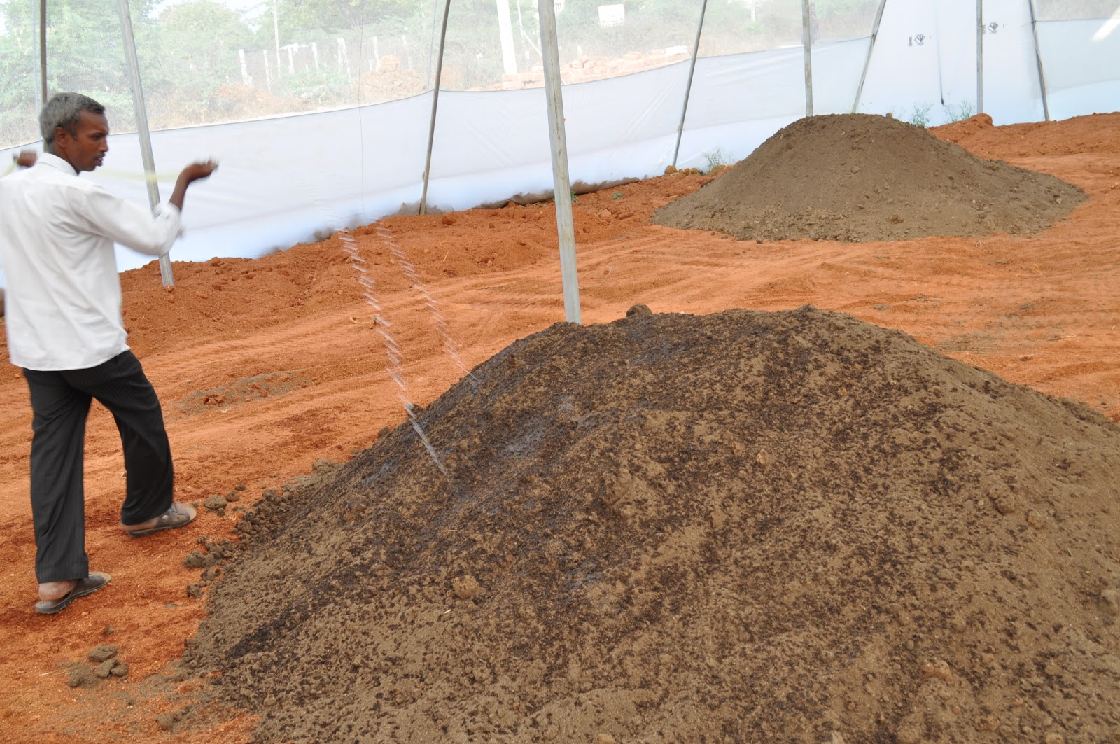 Fresh into Floriculture !! Layering with and Rice Husk