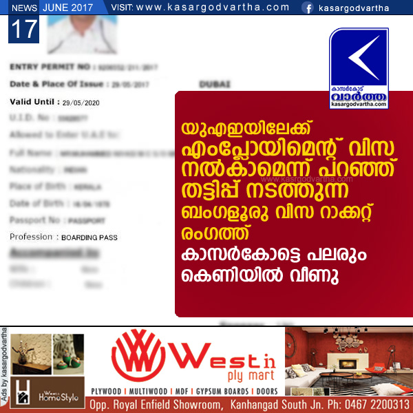 Kasaragod, Top-Headlines, Kerala, news, Cheating, Bengaluru visa racket who fraudulently offer a job visa to UAE, Many Kasaragod persons victims