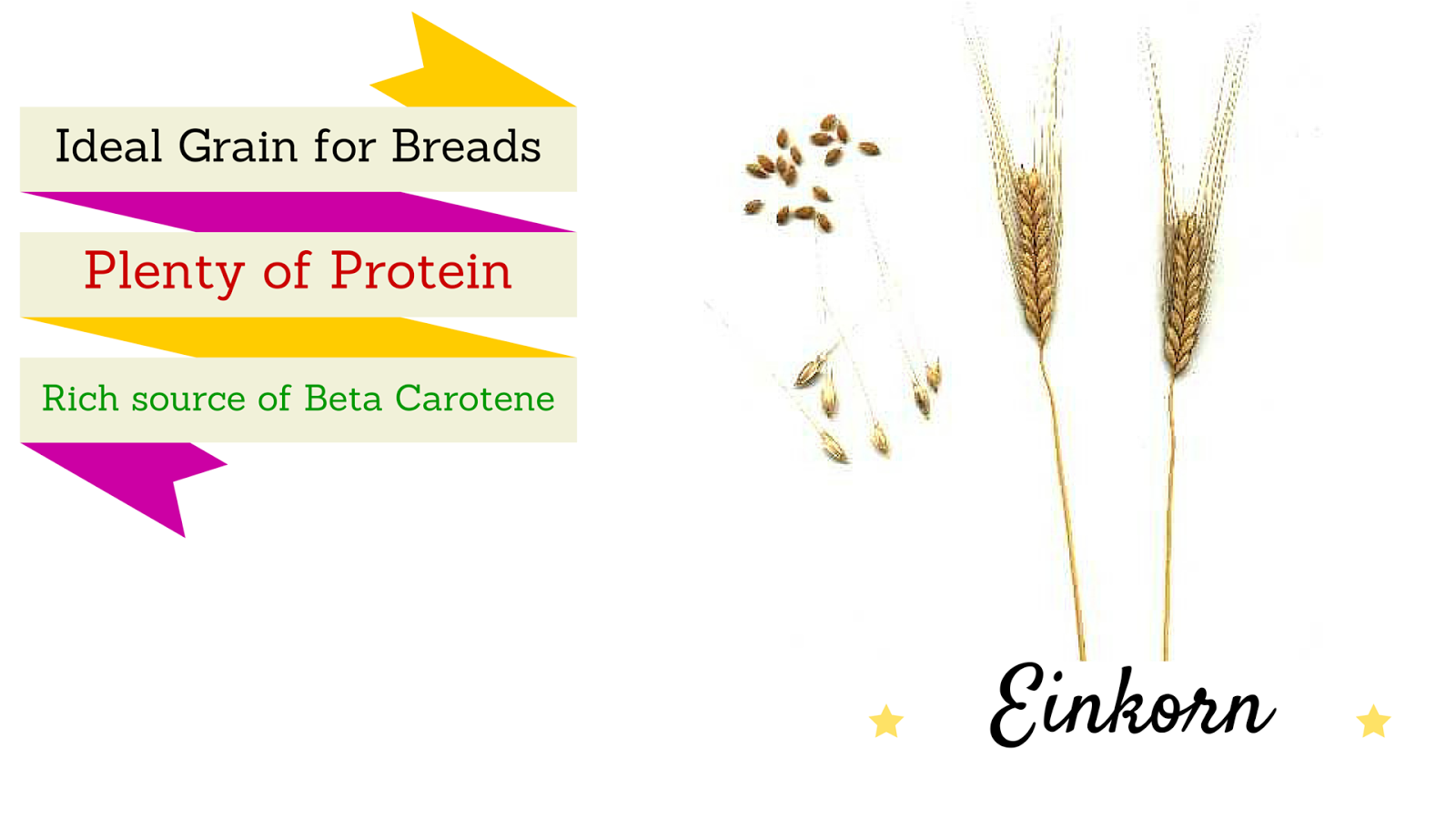 Ancient Grains List Ancient Grains List