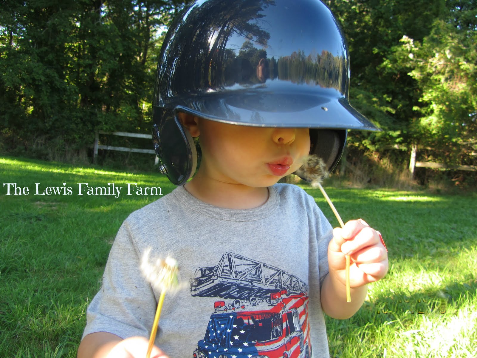 Blowing Dandelion Fuzz....