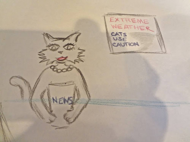 drawing of cat as news anchor