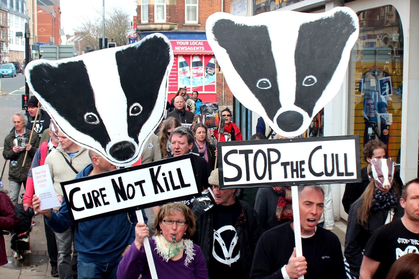 The Serial Comma Alternatives to Culling As a Means of Wildlife