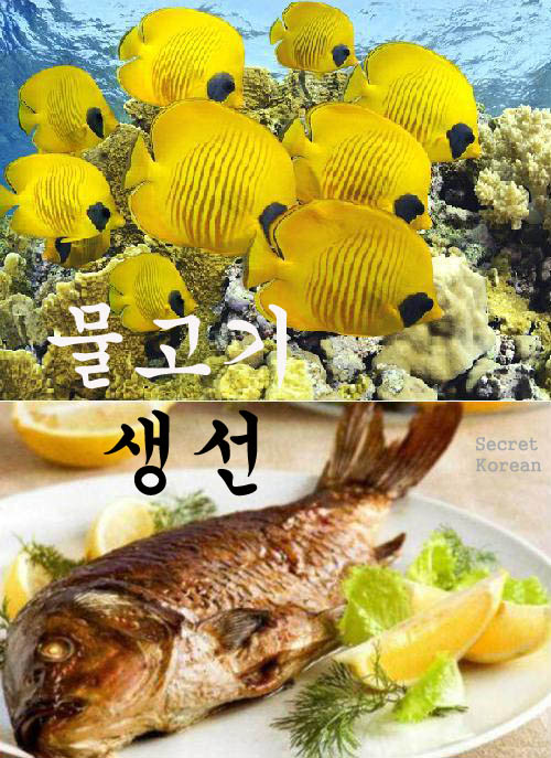 вобла вяленая вакуумной упаковке фиш. магазин дальневосточной рыбы. рыба в верном. рыба в верном. скумбрия тихоокеанская макрель.