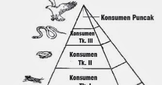 Bentuk piramida makanan yang sesuai dengan komposisi komponen dalam ekosistem normal adalah