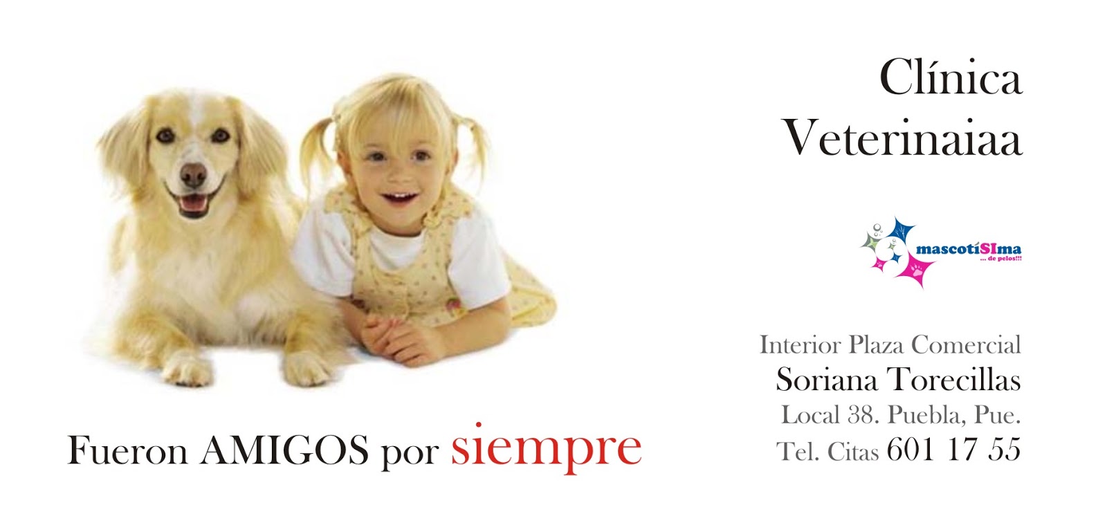 mascotisima CLINICA VETERINARIA PUEBLA mascotisima CLINICA VETERINARIA PUEBLA