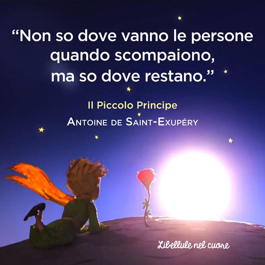 Mirtillo14 Camminando Arrivederci