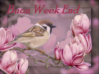 Che La Vita Continua: FELICE SABATO A TUTTI - FRASI &amp; IMMAGINI