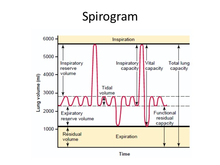 LES , PRIVAT , BIMBINGAN BELAJAR , MATEMATIKA, FISIKA, KIMIA, INGGRIS