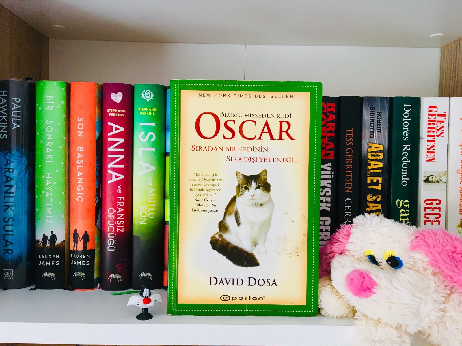 Ölümü Hisseden Kedi Oscar David Dosa Konumuz Kitap