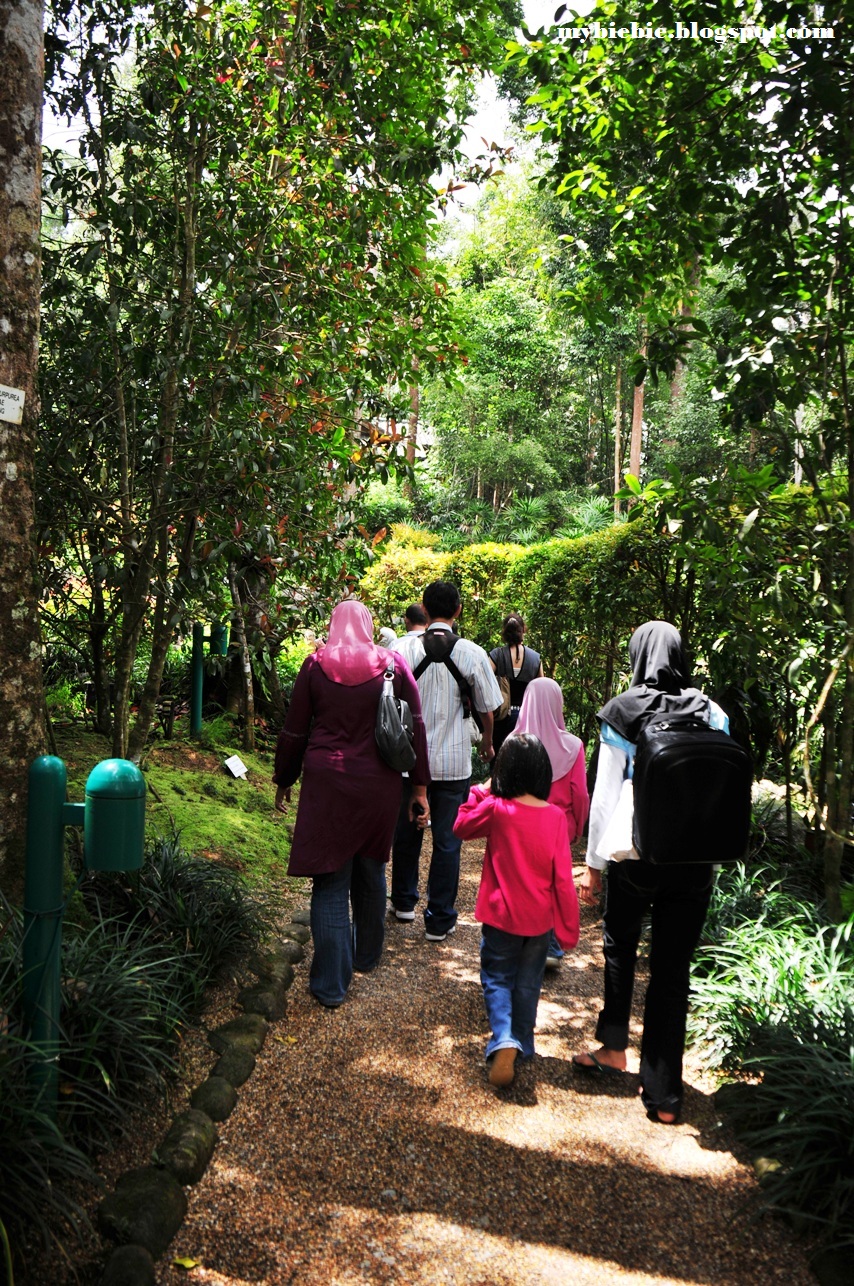 LIFE IN DIGITAL COLOUR Japanese Village Bukit Tinggi Pahang