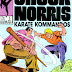 Chuck Norris #3 - Steve Ditko art