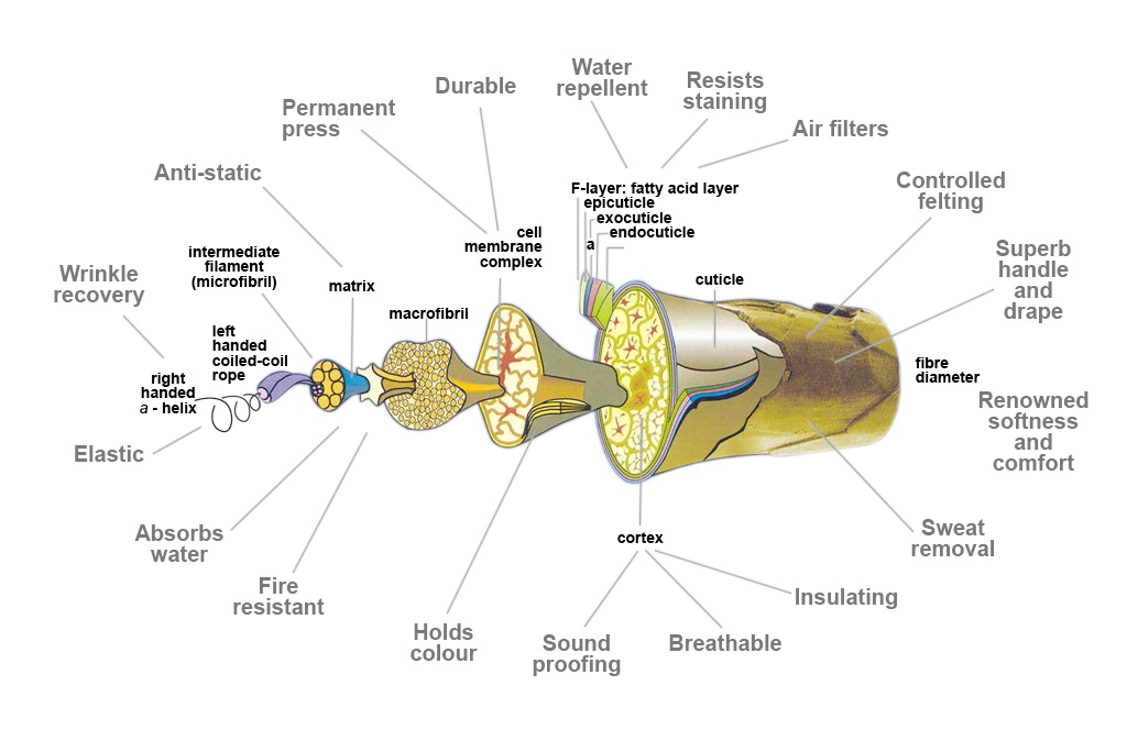 Beneficial properties of wool Woolenclogs