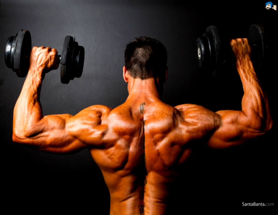 Bodybuilding Wallpaper 15