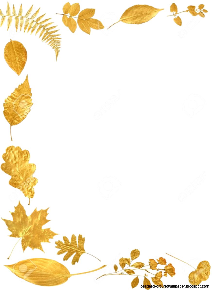 Golden Leaf Selection Forming An Abstract Frame Over White