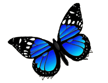 ALL ABOUT FAUNA KUPU KUPU ALL ABOUT FAUNA KUPU KUPU