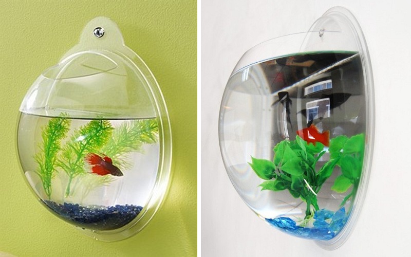 Simply Creative Creative Fish Bowls simply-creative-creative-fish-bowls