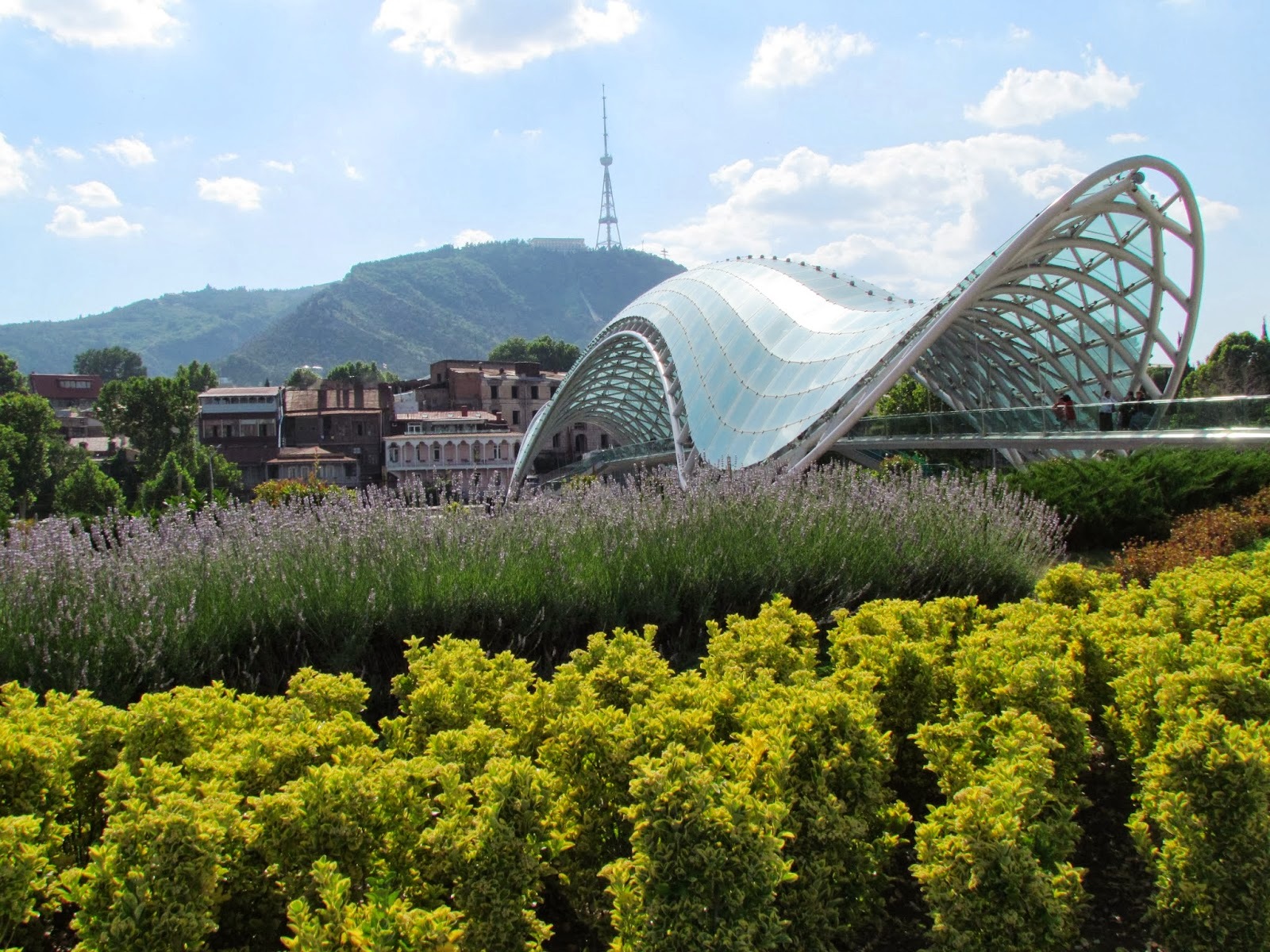 Фреска fresq geo «geo. Savnebo saitebi. Saitebi qe. Geo. Saitebi ge 18 saitebi.