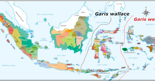 Geo Renza Persebaran Flora Dan Fauna Di Indonesia