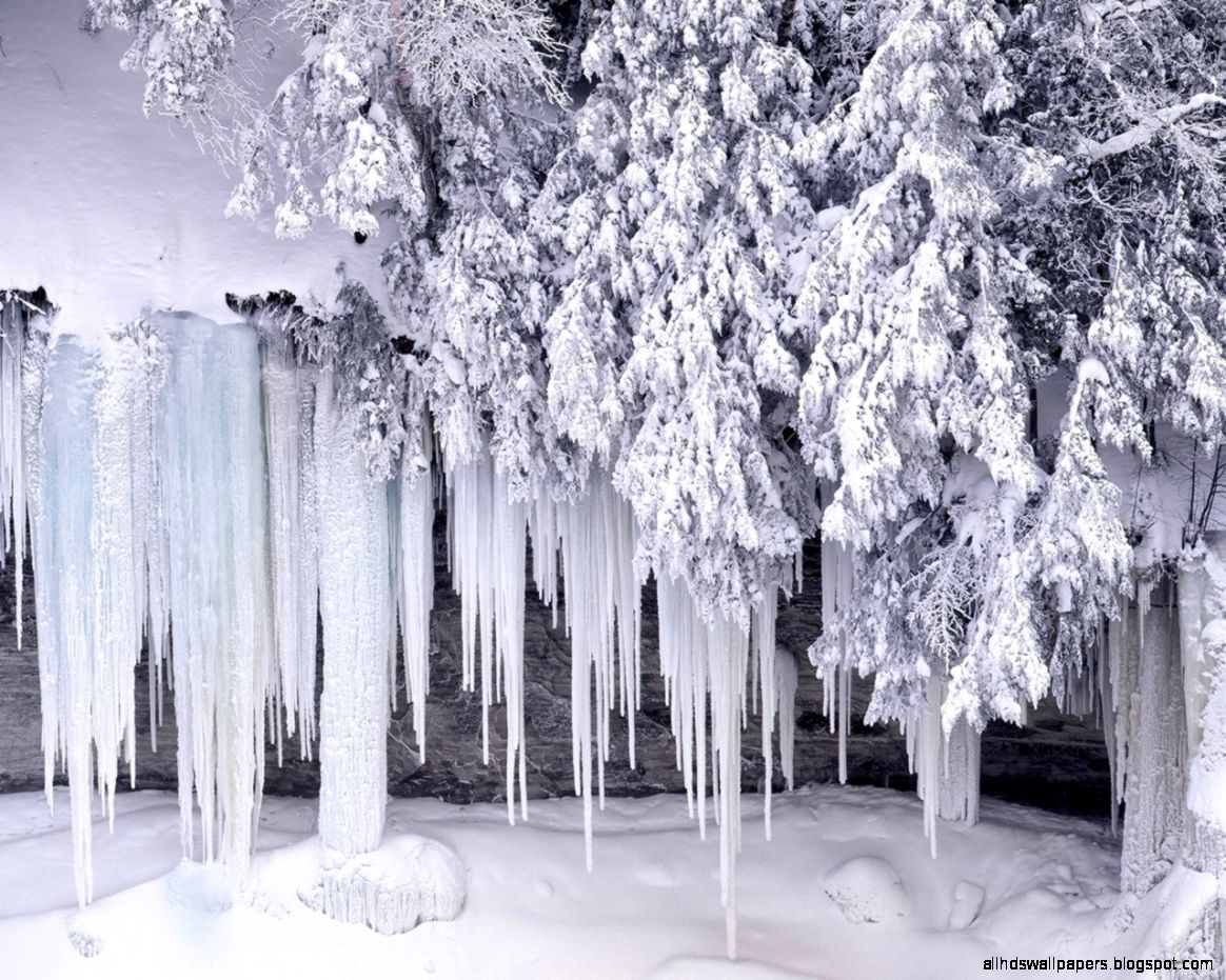 Winter wonderland  Dreamy Snow Scene wallpaper 1280x1024 NO1