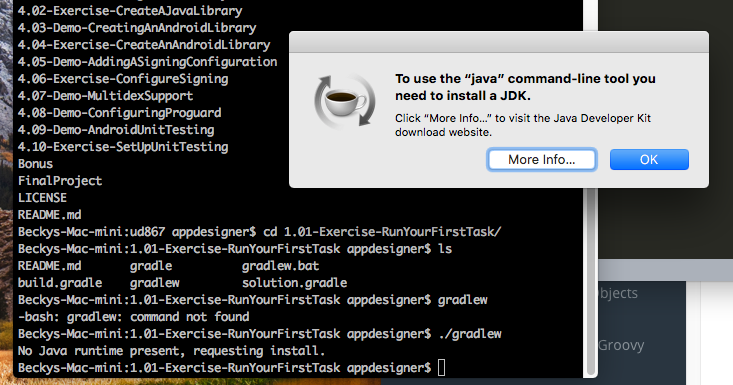 Download Java Jdk For Mac Os Sierra