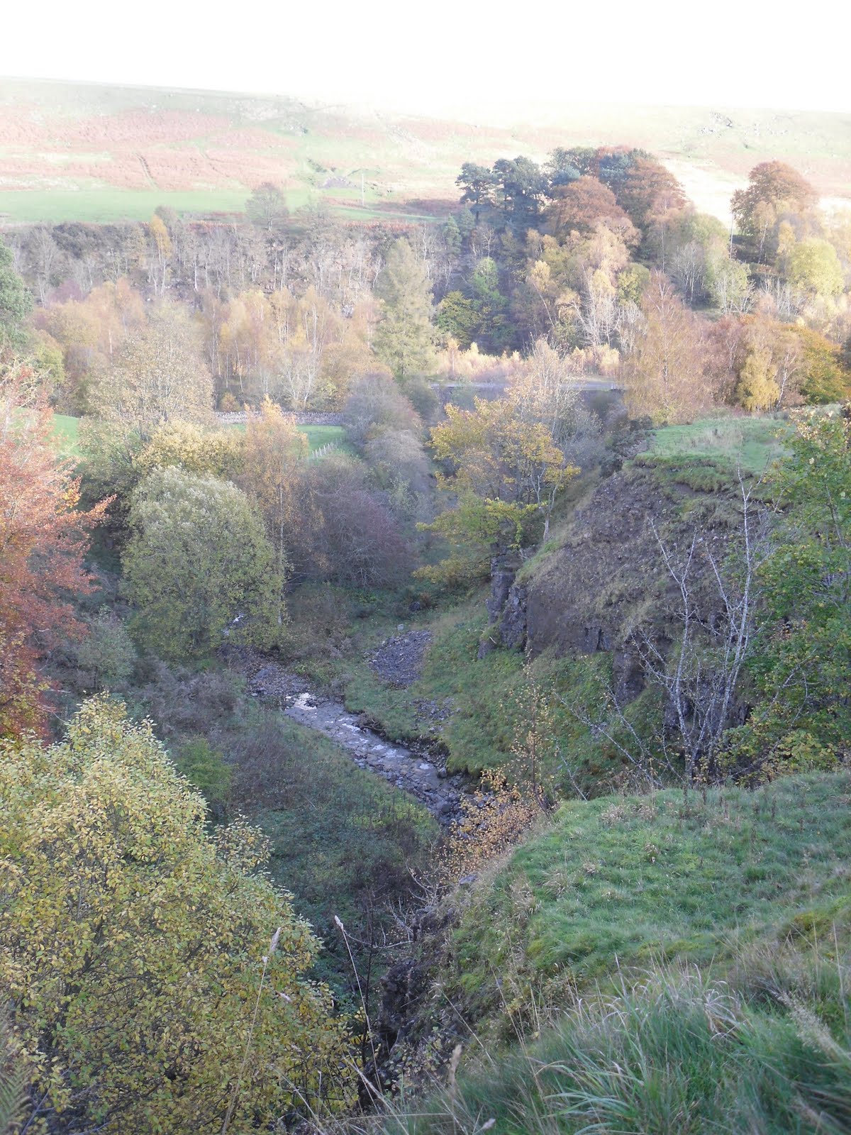 Rambling Nana Stanhope & Wolsingham Park Moor