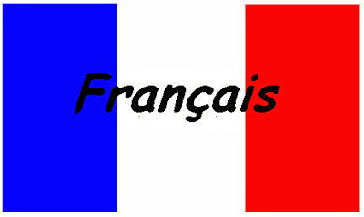 تحميل تلخيص جميع روايات اللغة الفرنسية الاولى باك Francais