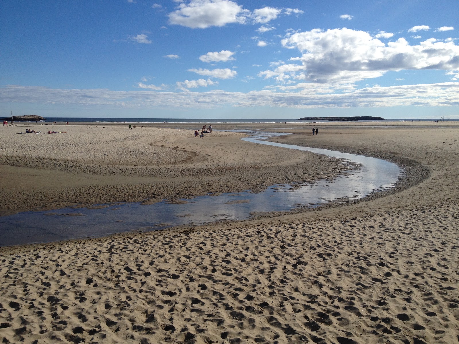 Moose in Maine Popham Beach Blue Sky and Water