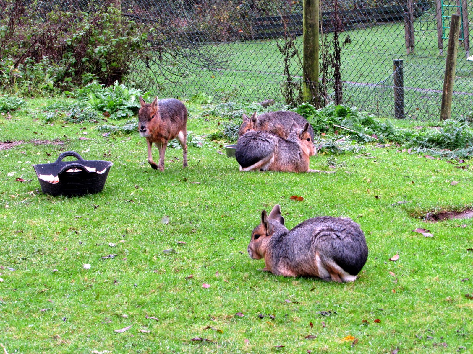 The Glebe Blog 10/2014