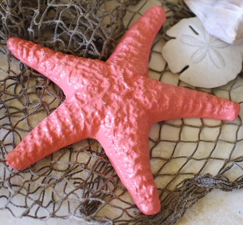 cast iron starfish