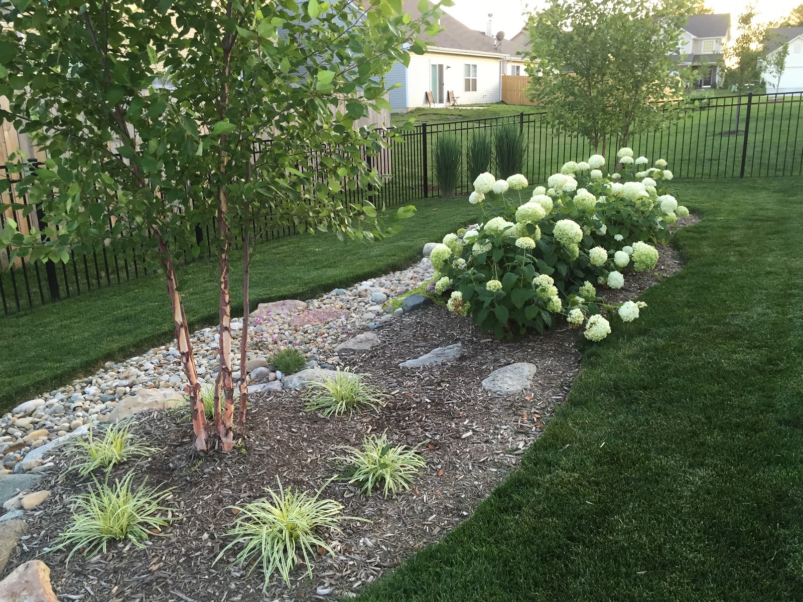 Summer Views from 2016 Quick Garden Tour and Update [Backyard Neophyte
