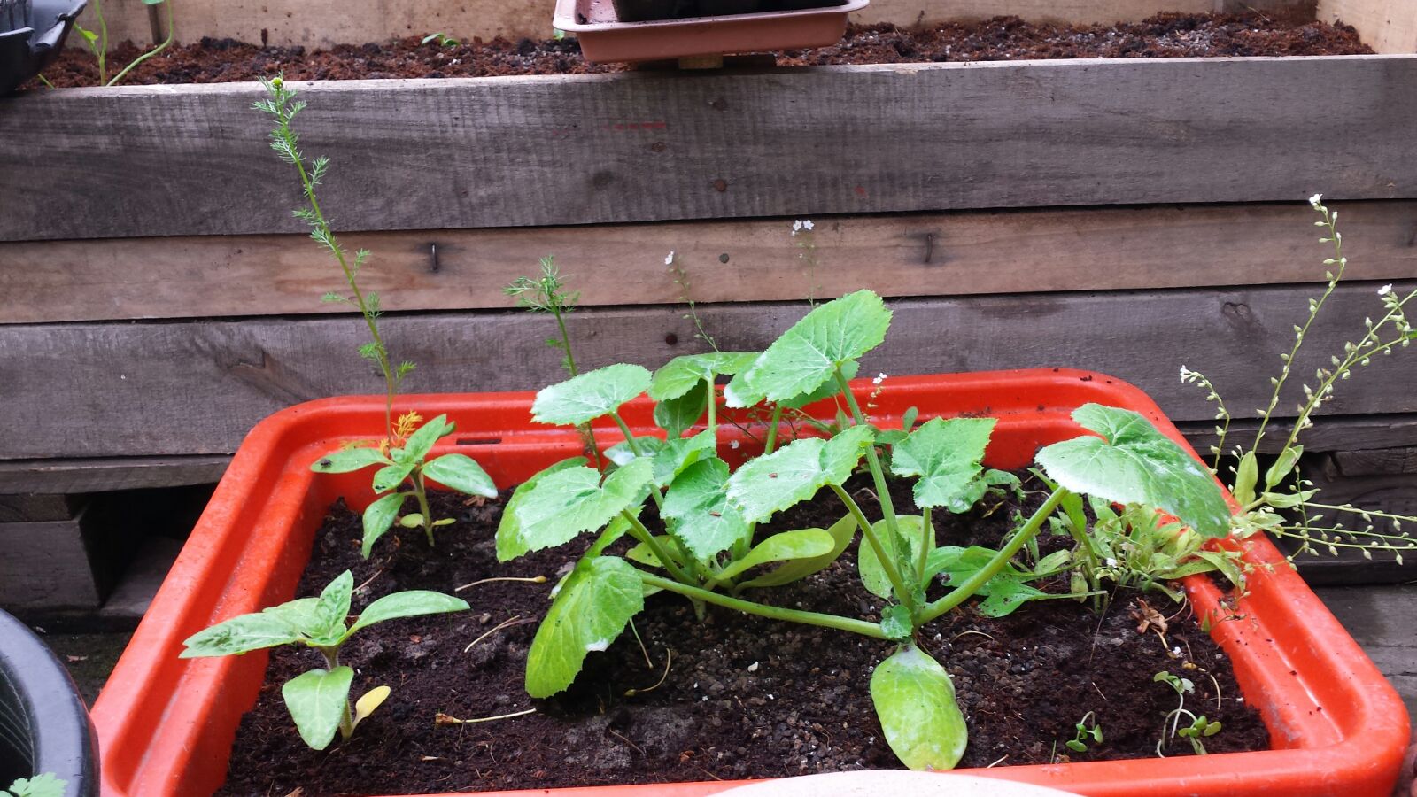 Kako pronaći kvalitetnog zaposlenika? Kako pronaći kvalitetnog zaposlenika?