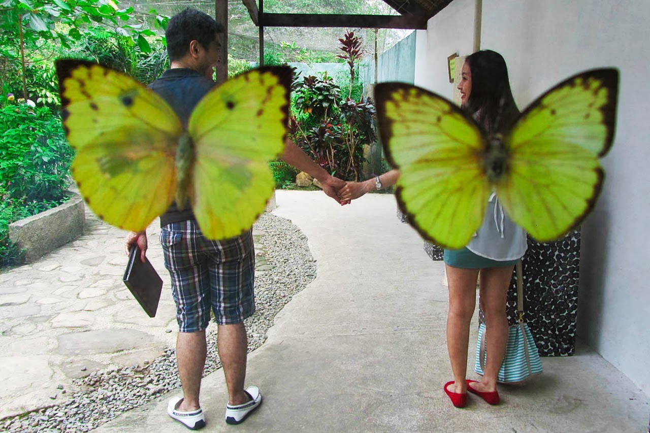 The Quaint Traveler That Fun and Colorful Afternoon at Butterfly