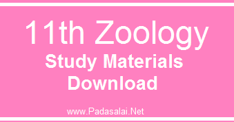 11th zoology guide pdf download in tamil medium 12th class physical education book pdf download