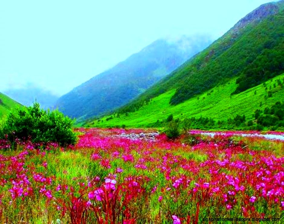 Valley of Flowers National Park   Uttarakhand INDIA   YouTube