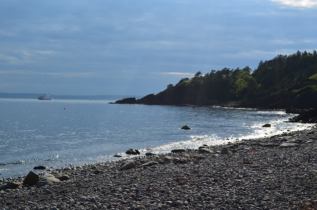 DSC_0499.JPG