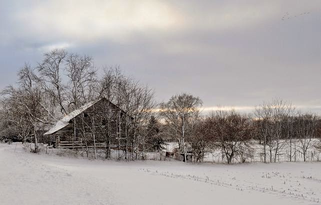 Cómo fotografiar nieve