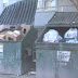 3,000 Homeless People Denied Food As City Forces Charity to Bleach and Dump It