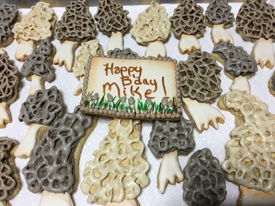 Decorating a Mushroom Sugar Cookie with Royal Icing 