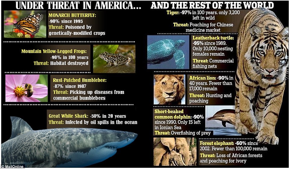 Вымирающие животные WWF. Вымирание птиц, рыб и животных. Wildlife under threat. Как спасти растения и животных от вымирания.
