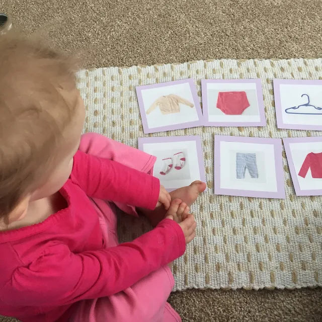 Pre-matching Montessori work for toddlers. These classification cards help toddlers start to identify objects and classify them into groups.