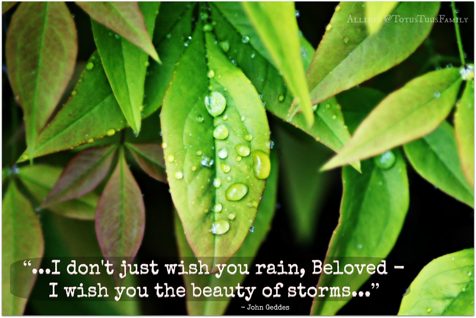 beauty+of+rain+storm+quote.jpg