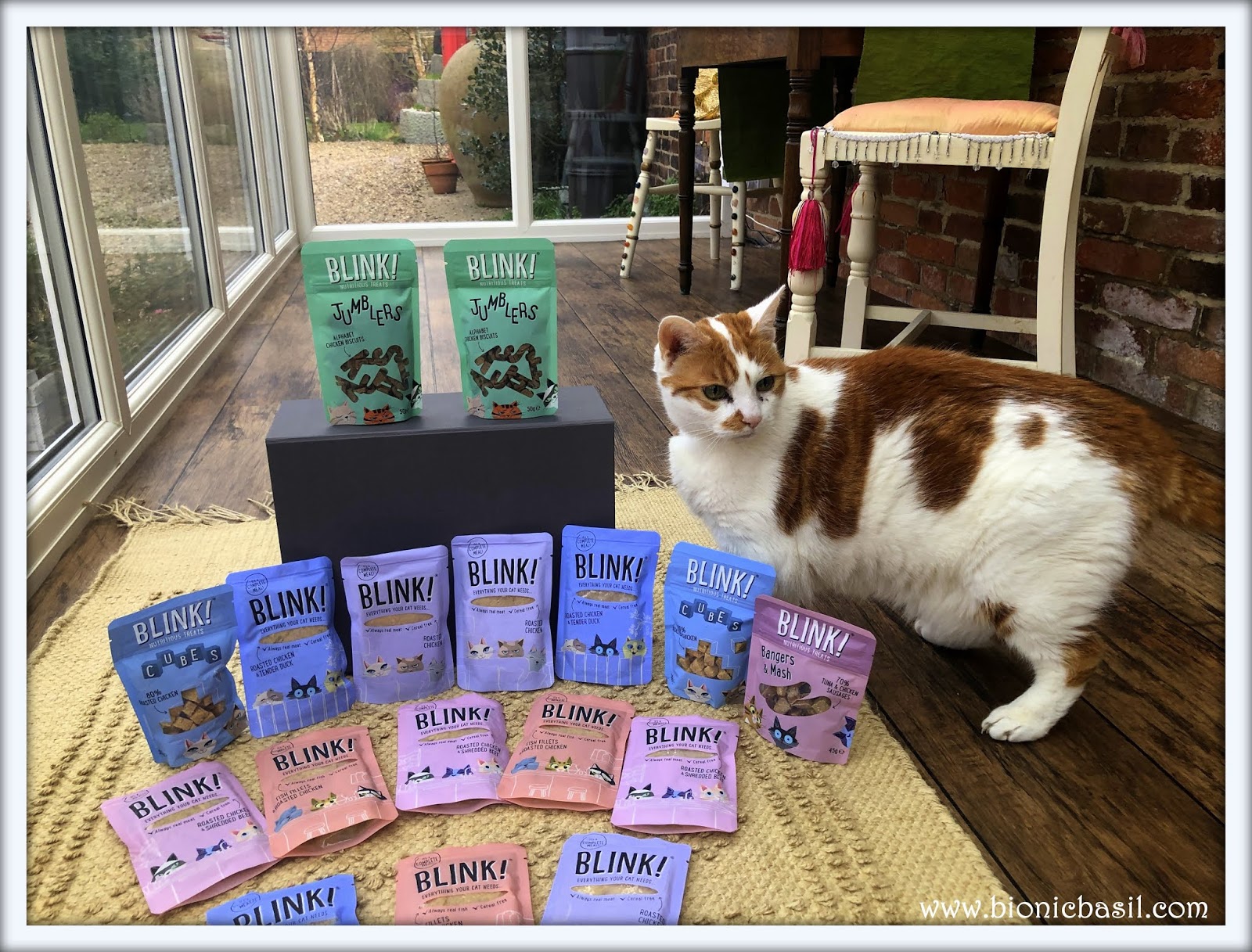 Bionic Basil® home of Basil and The B Team WHAT'S IN THE BOX? on In