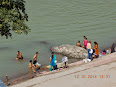 Bain dans le Ganga