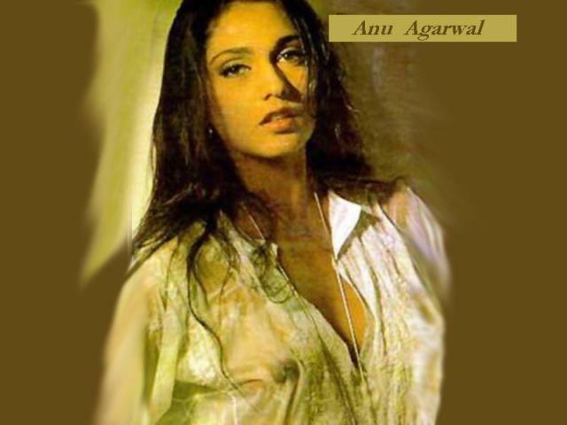 Desi Babes Bollywood Actress Anu Agarwal Photosmidnight India