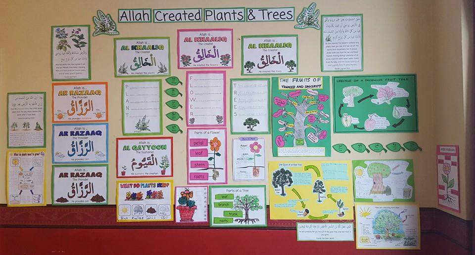Iman's HomeSchool Allah Created Plants Unit Study