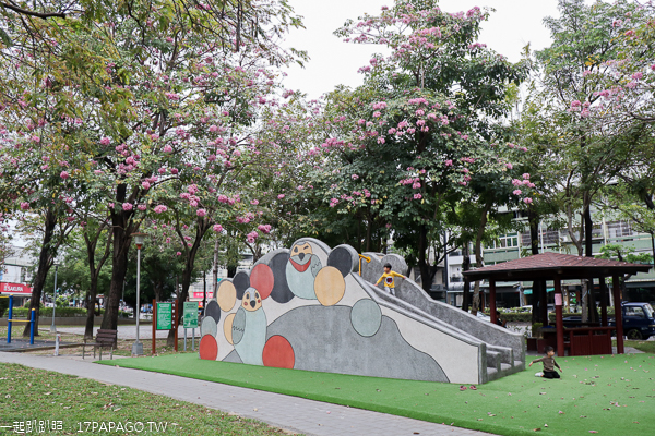 台中東區大智公園洋紅風鈴木花開，還有磨石子溜滑梯好好玩