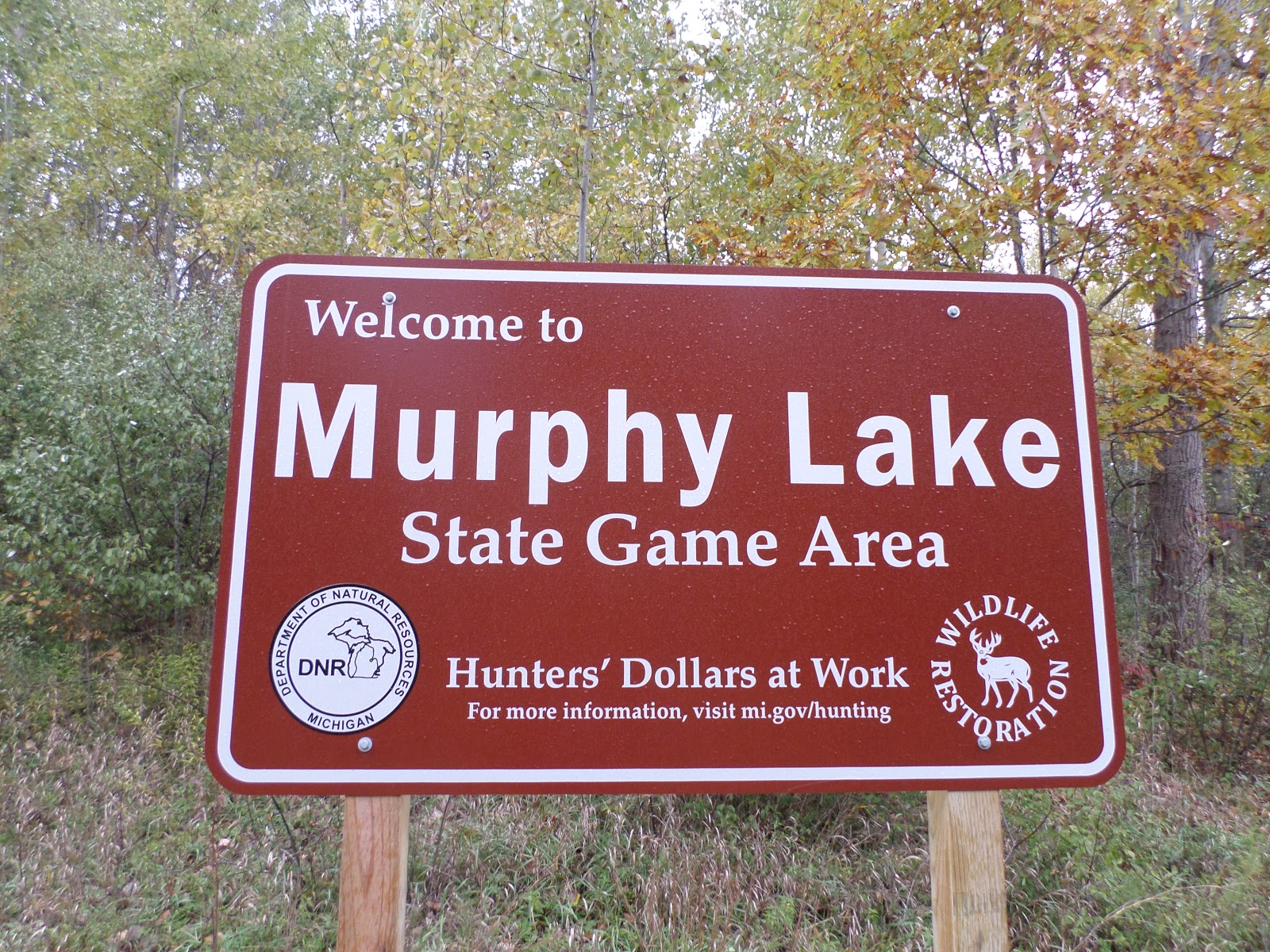 Mitten Tracks Murphy Lake State Game Area, part two Murphy Lake Rd